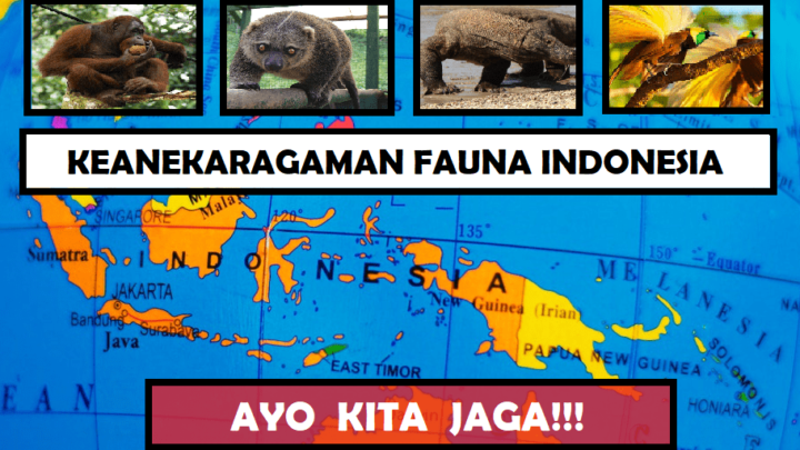 Keanekaragaman Fauna Indonesia