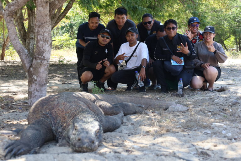 Taman Nasional Komodo Nusa Tenggara Timur