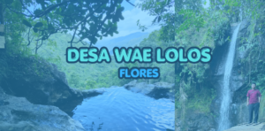 Cover Menjelajahi Desa Wae Lolos Flores