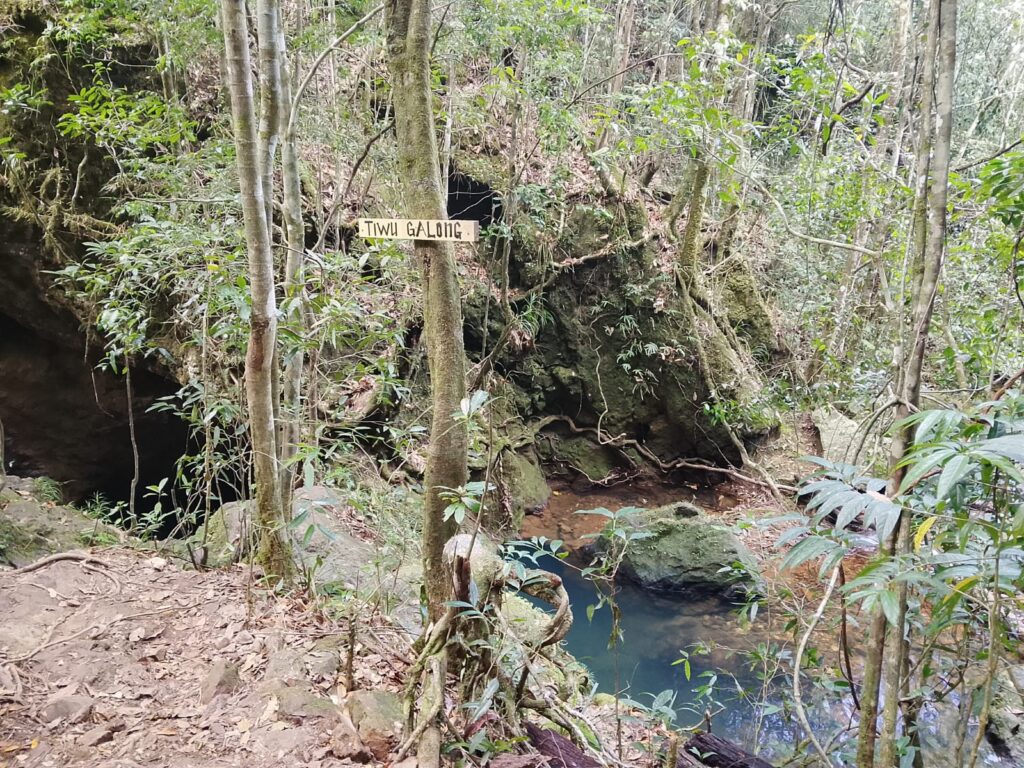 Tiwu Galong Manggarai Barat Flores