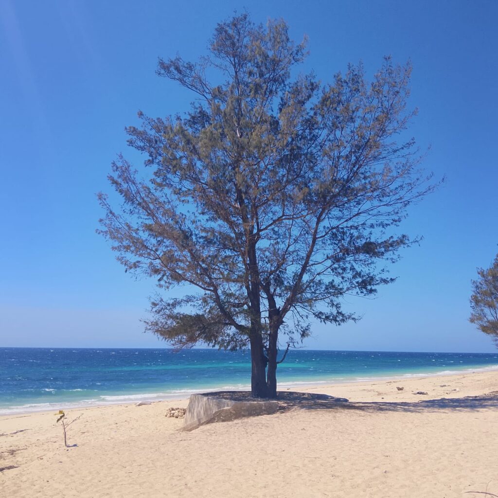 Keindahan Pantai Kita Di Sumba Barat Daya