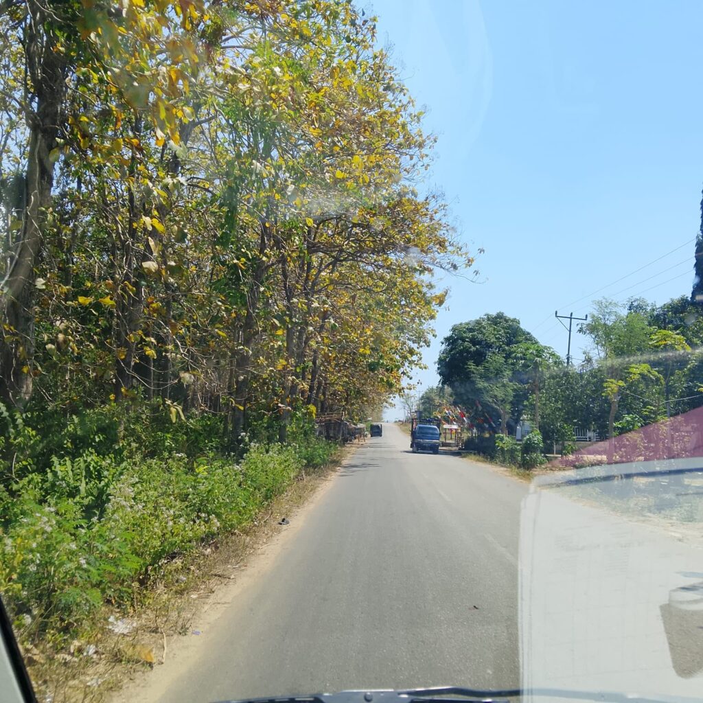 Suasana Jalan Di Sumba Barat Daya