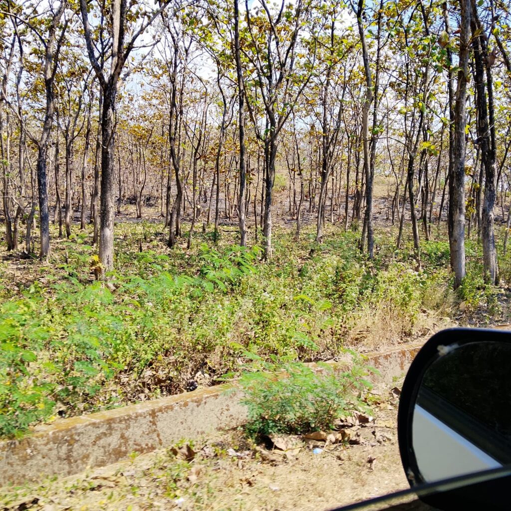 Tempat Di Sumba Mirip Ajimut