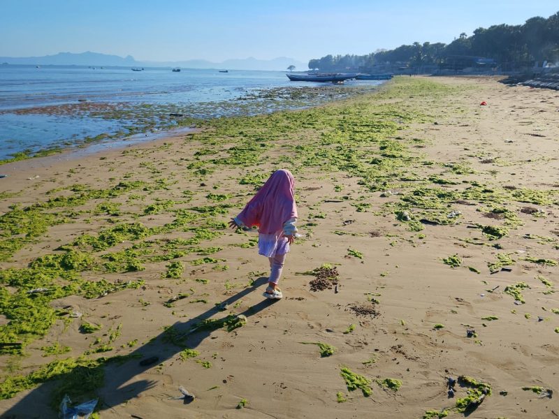 Aku dan Pantai Oesapa Nusa Tenggara Timur