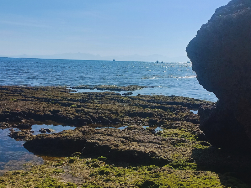 Tebing Di Pantai Ketapang Satu Kota Kupang
